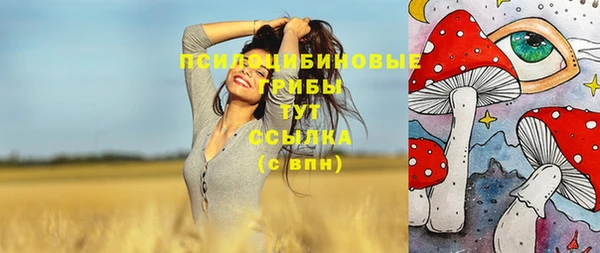 СК Тайга